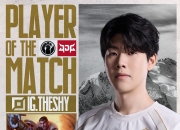 重要助攻引爆全场！，TheShy意外战胜德国队全场沸腾不已的简单介绍